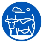 Görsel 2